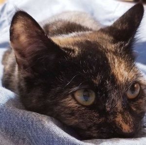 Meet your Posher, Dana